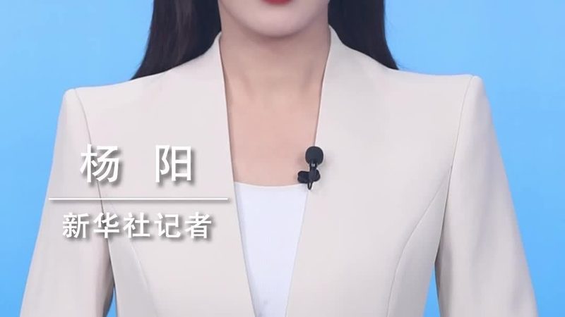 科技服务供应商招标：关键要素与评估标准**